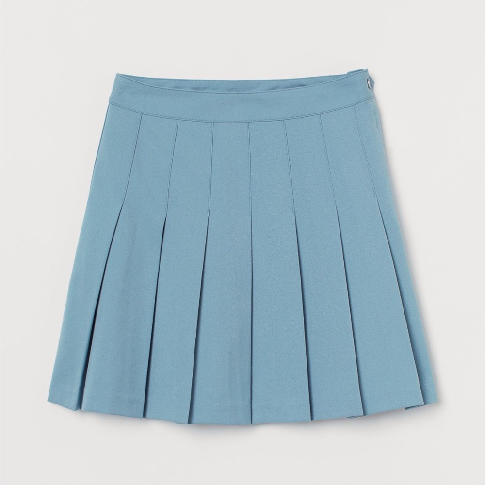 Pleated Skirt